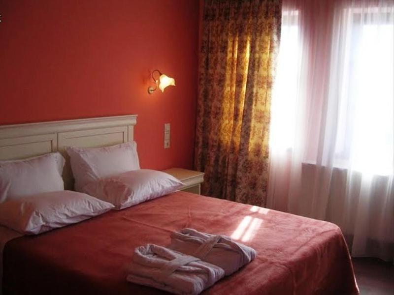 Hotel Monodendri Room photo